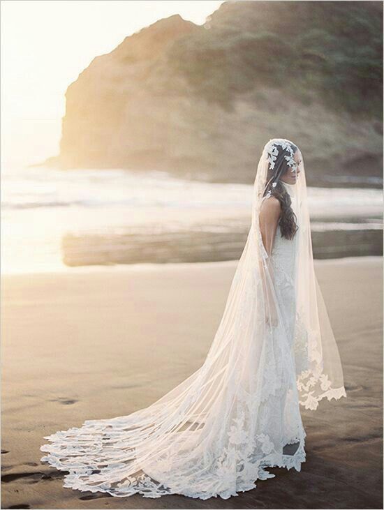 Incredible Cathedral Length Drop Veil